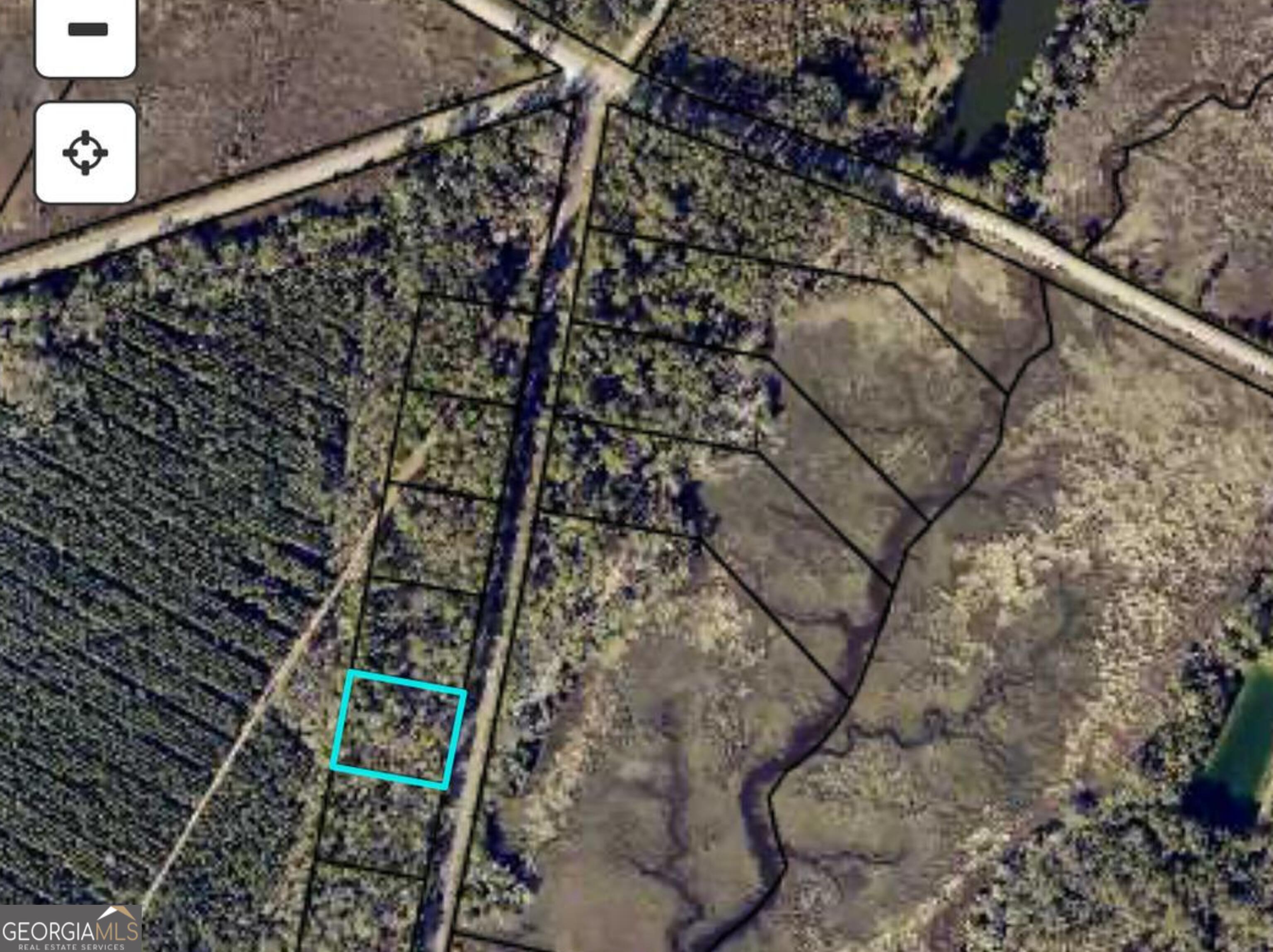 0 Piney Bluff Road Waverly, GA 31565 - Photo 8 of 8