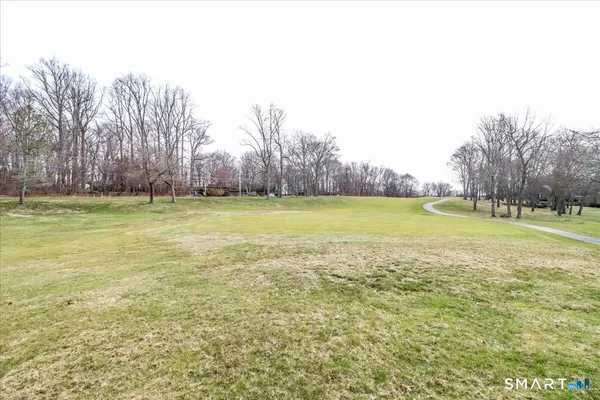 a view of a swimming pool and trees in the background