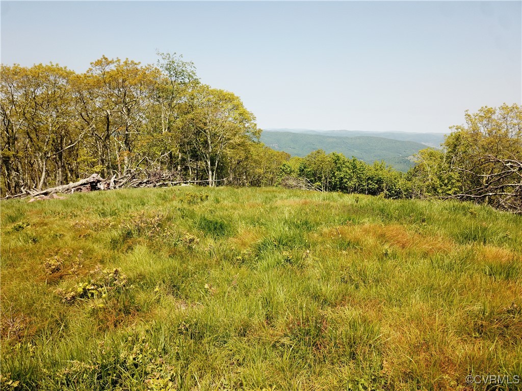 a view of yard with green space and fog
