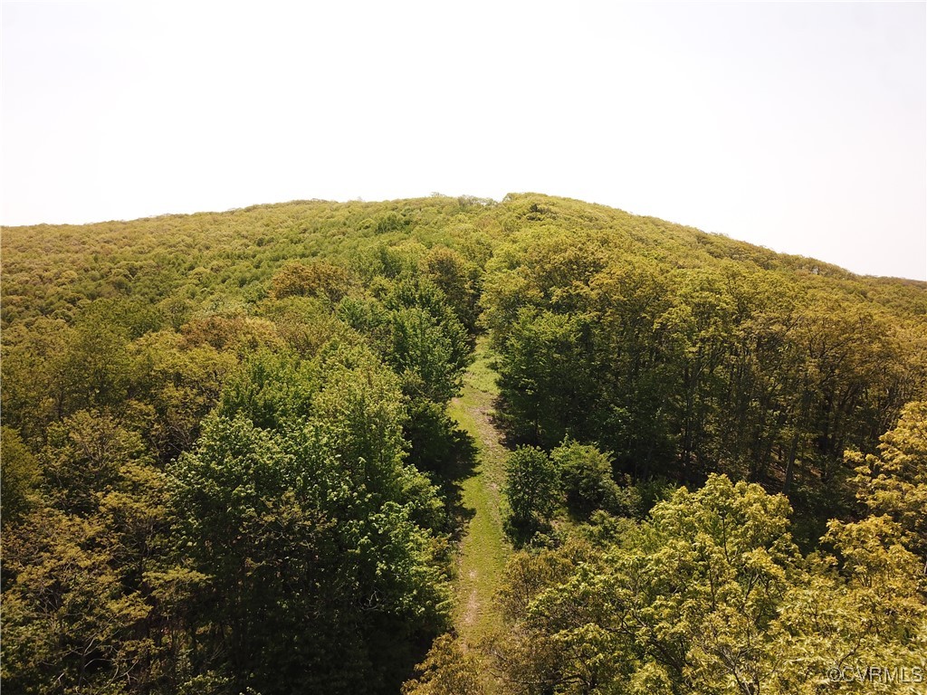 0 Jack Mountain Road Monterey, VA 24465 - Photo 11 of 21