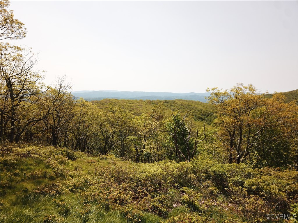 0 Jack Mountain Road Monterey, VA 24465 - Photo 14 of 21 a view of an ocean