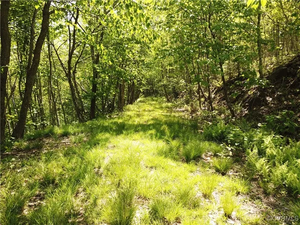 a view of a yard with a tree