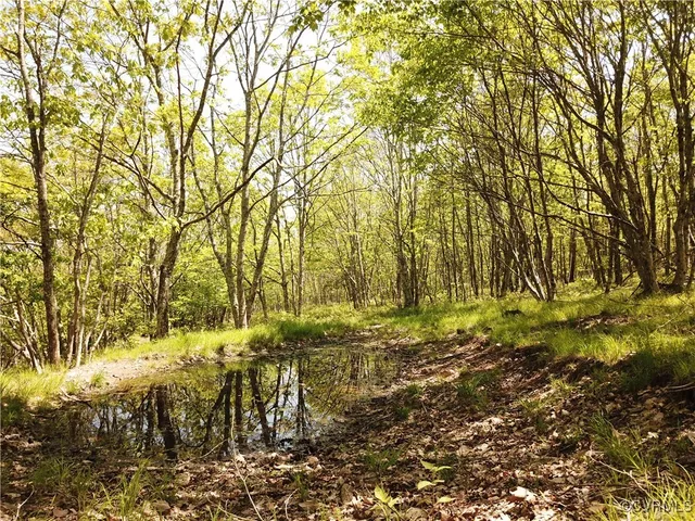 $309,000 | 0 Jack Mountain Road, Monterey, VA 24465