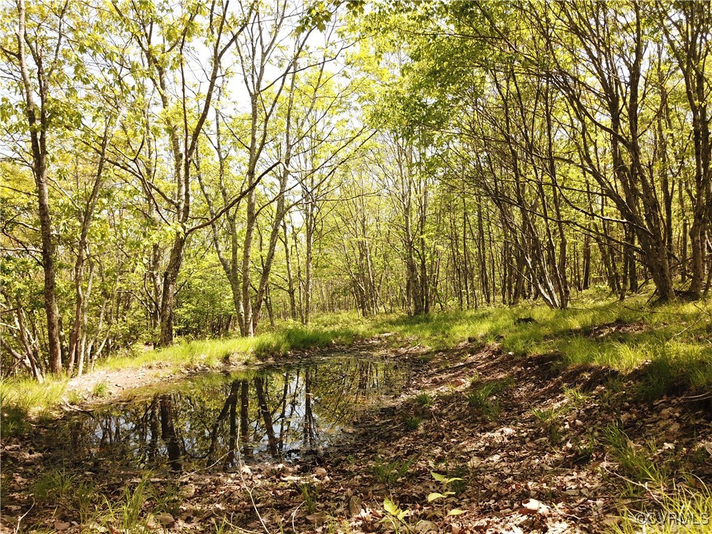 0 Jack Mountain Road Monterey, VA 24465 - Photo 19 of 21 a view of yard