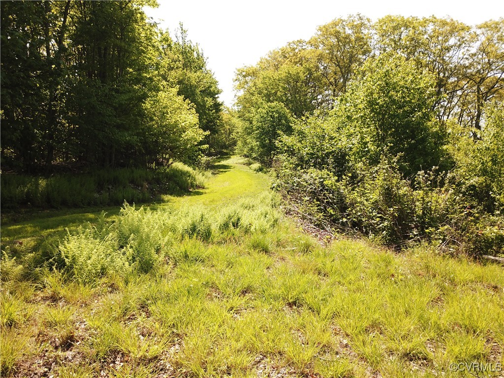 0 Jack Mountain Road Monterey, VA 24465 - Photo 5 of 21 a view of a yard