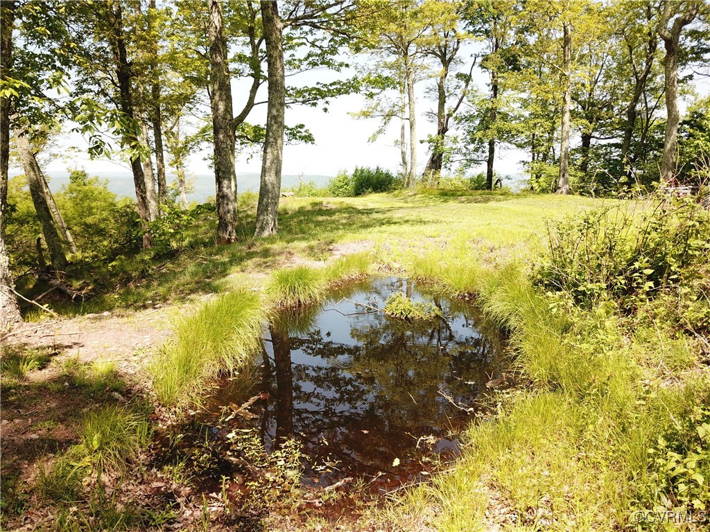 0 Jack Mountain Road Monterey, VA 24465 - Photo 10 of 21 a view of yard with large trees