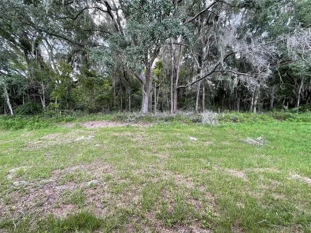 a large green field with lots of trees