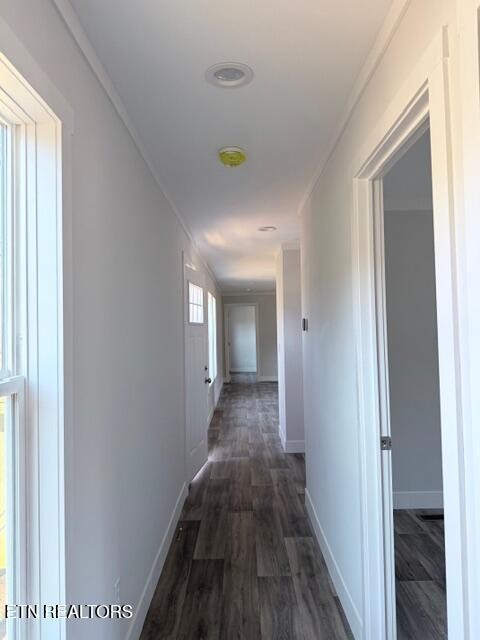 131 Southside Avenue Rutledge, TN 37861 - Photo 29 of 33 Gallery Image 29