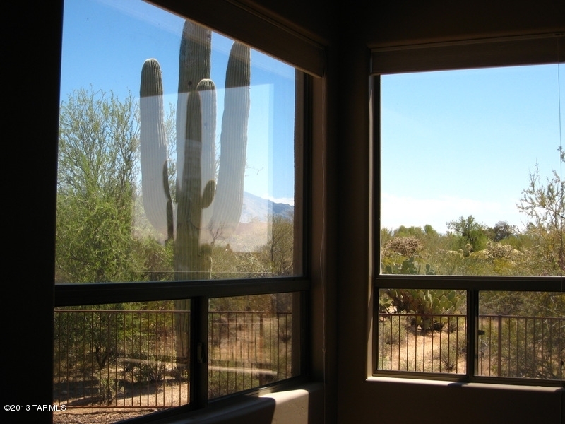 10330 North Blue Bonnet Road Tucson, AZ 85742 - Photo 17 of 21