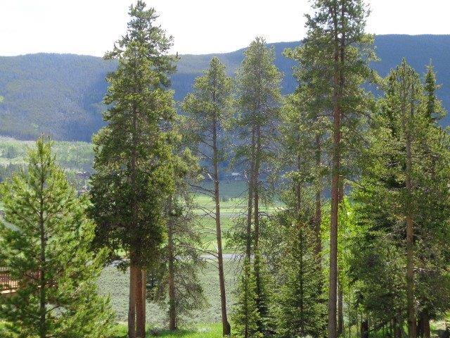 756 Penstemon Road Keystone, CO 80435 - Photo 1 of 12 a view of outdoor space and trees