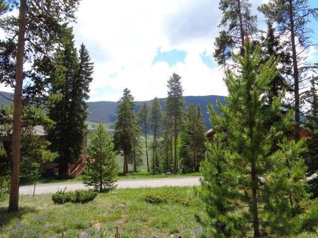756 Penstemon Road Keystone, CO 80435 - Photo 2 of 12 a view of a yard with a tree