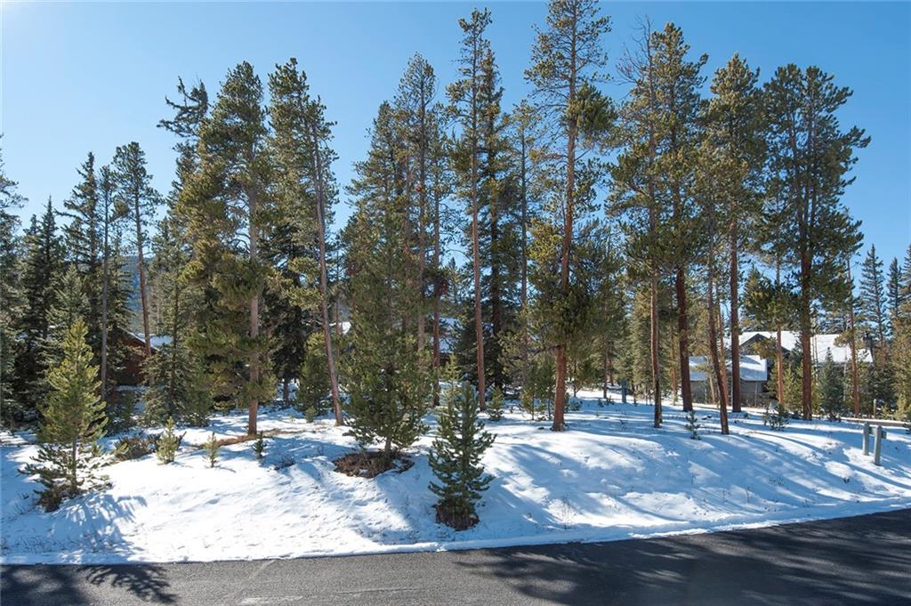 756 Penstemon Road Keystone, CO 80435 - Photo 11 of 12 a view of a yard with a tree