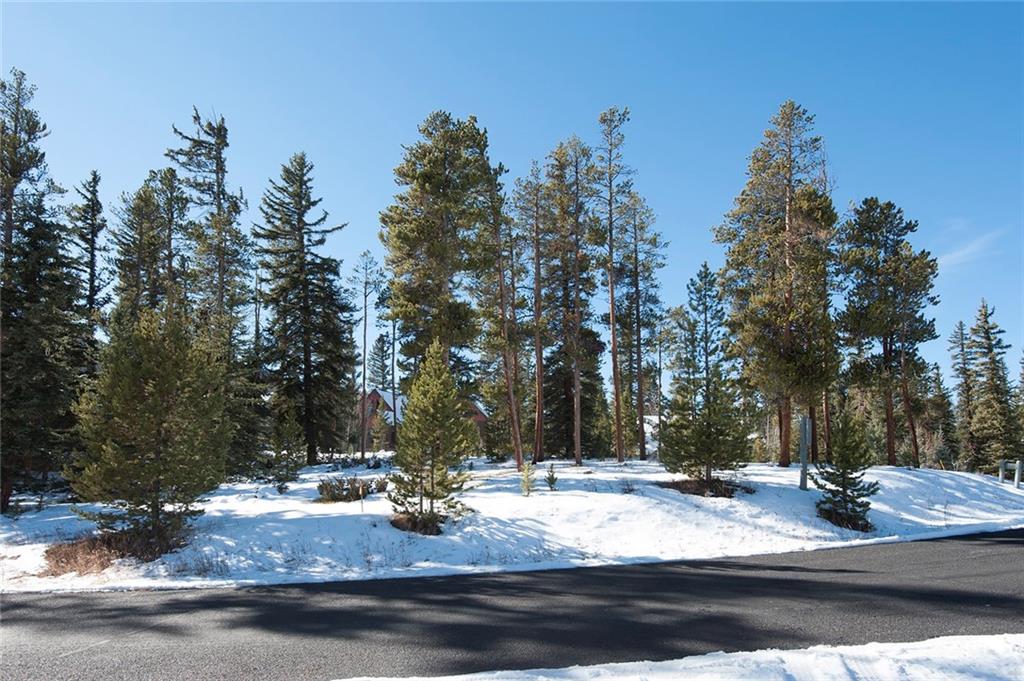 756 Penstemon Road Keystone, CO 80435 - Photo 3 of 12 a view of street with trees