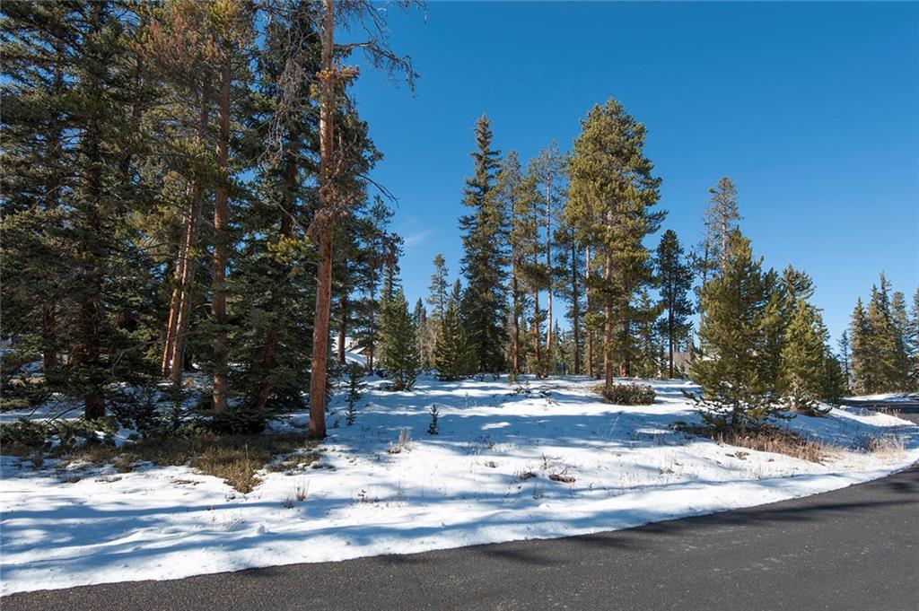 756 Penstemon Road Keystone, CO 80435 - Photo 4 of 12 a view of road with trees