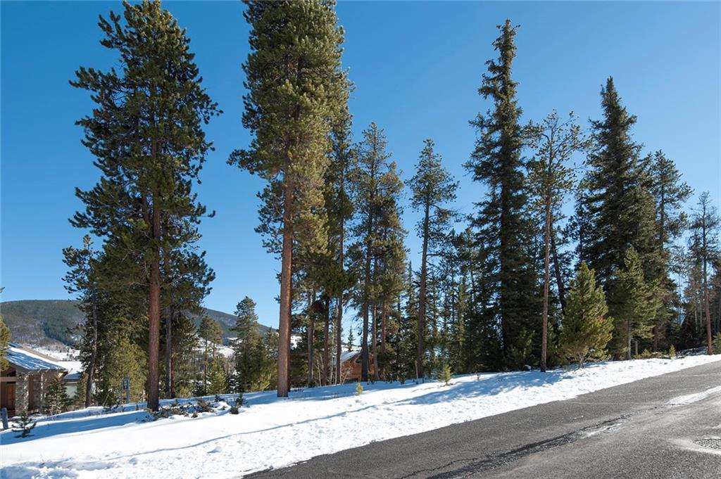 756 Penstemon Road Keystone, CO 80435 - Photo 6 of 12 a street view with large trees