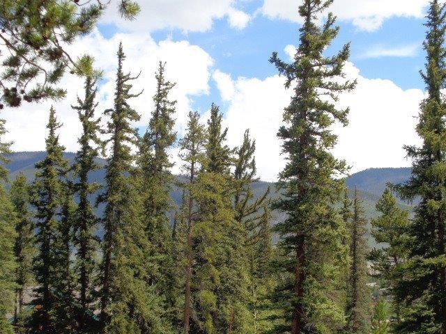 756 Penstemon Road Keystone, CO 80435 - Photo 7 of 12 a view of a forest