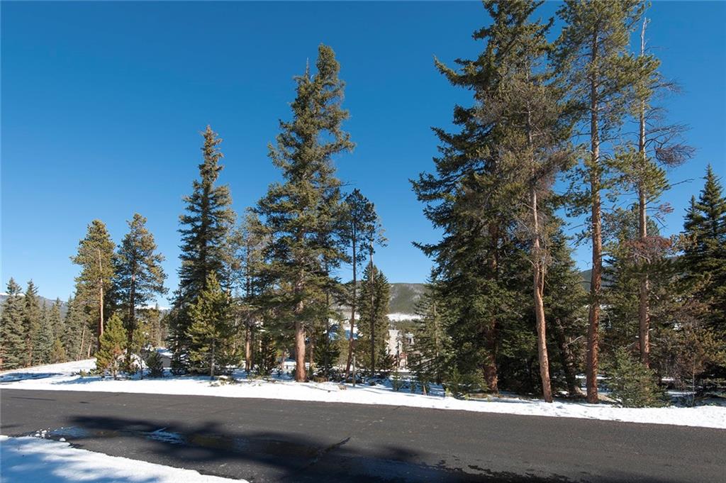 756 Penstemon Road Keystone, CO 80435 - Photo 9 of 12 a view of a yard