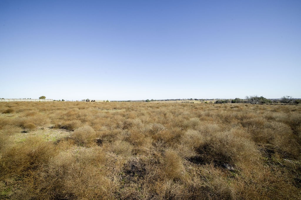 Tbd Mockingbird Road Brenham, TX 77833 - Photo 9 of 10 a view of a large tree with an outdoor space