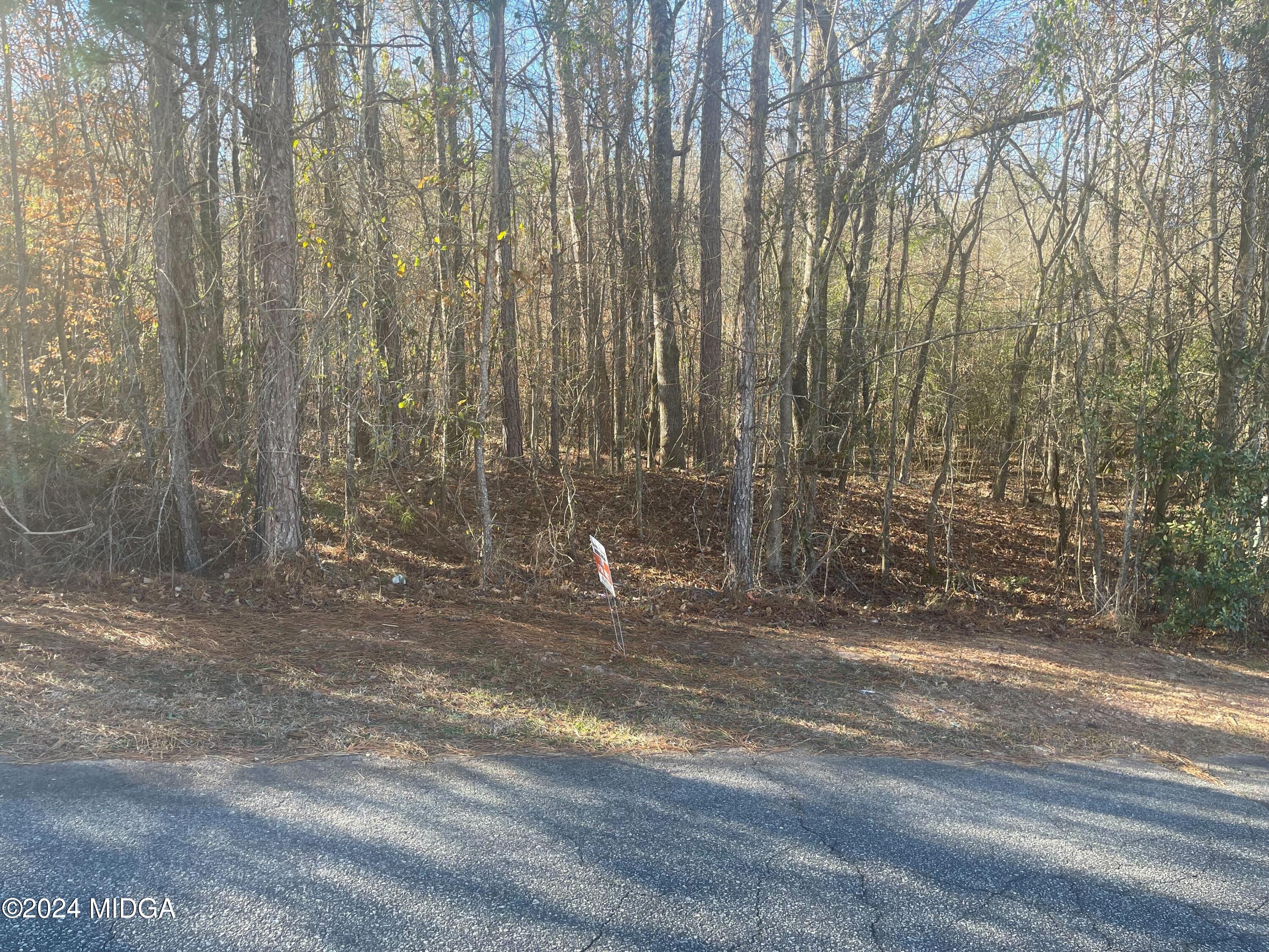 509 Spring Run Lizella, GA 31052 - Photo 5 of 9 a view of a backyard with pathway