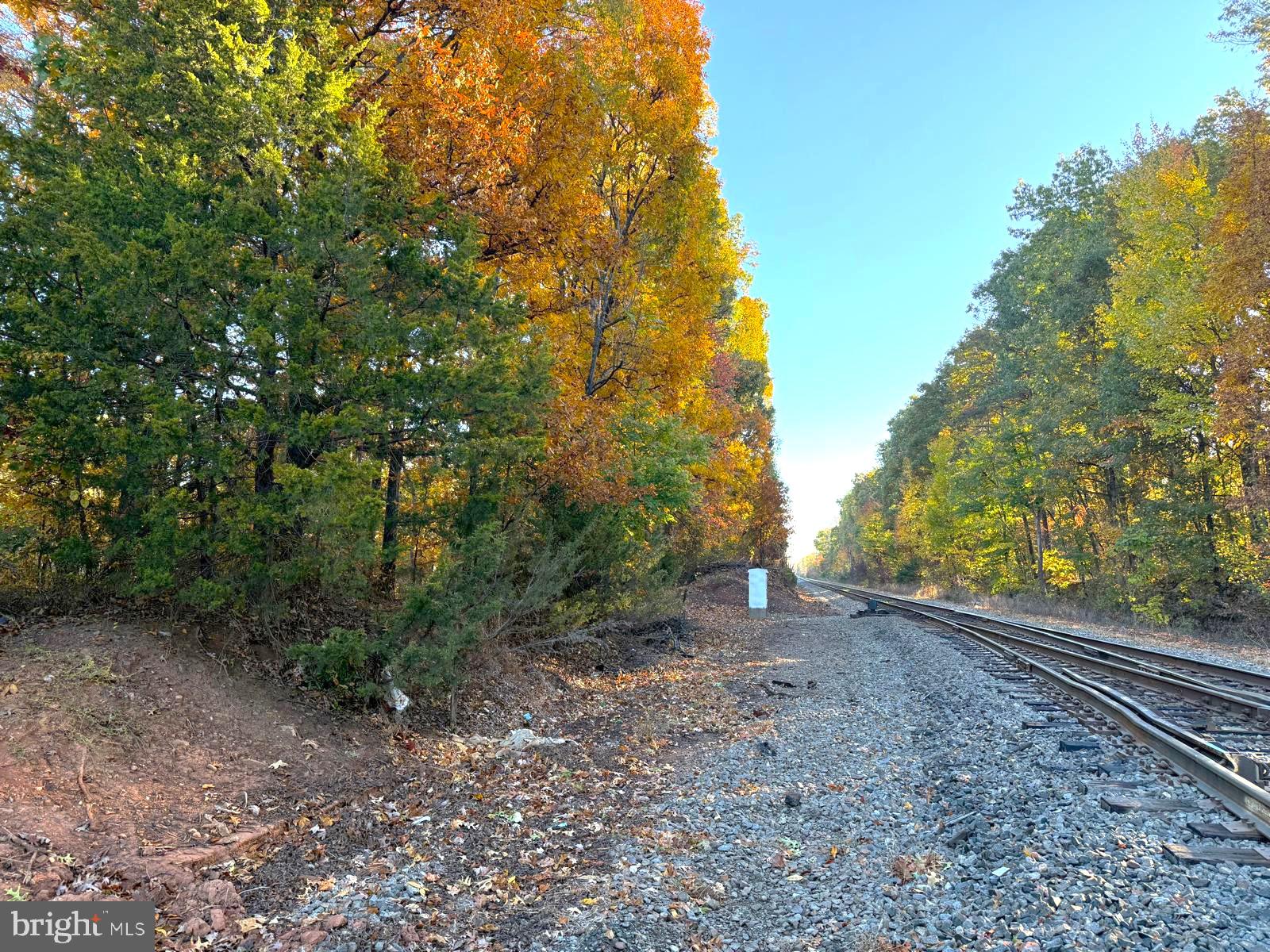 16120 Brandy Road Culpeper, VA 22701 - Photo 11 of 30