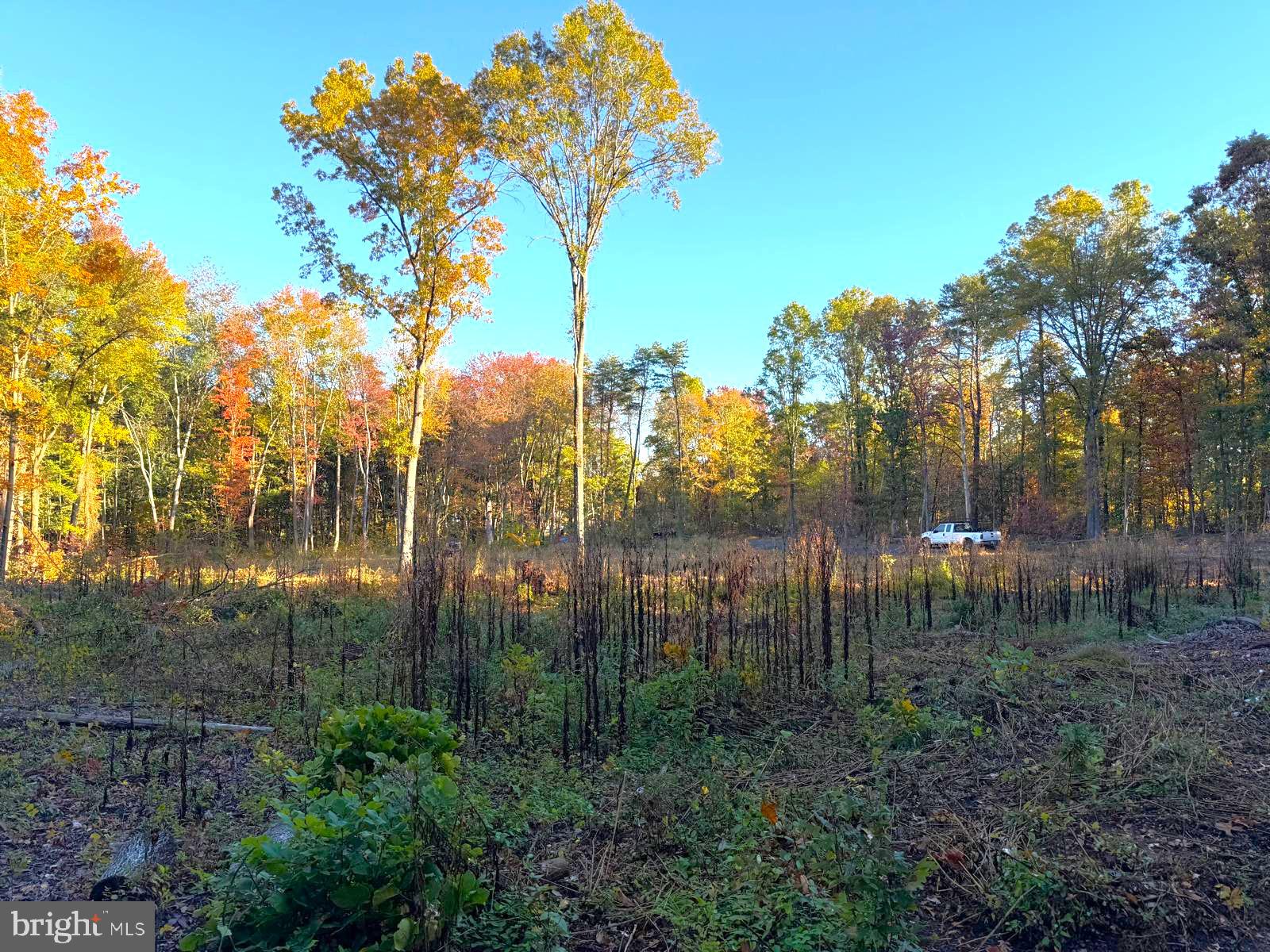 16120 Brandy Road Culpeper, VA 22701 - Photo 12 of 30