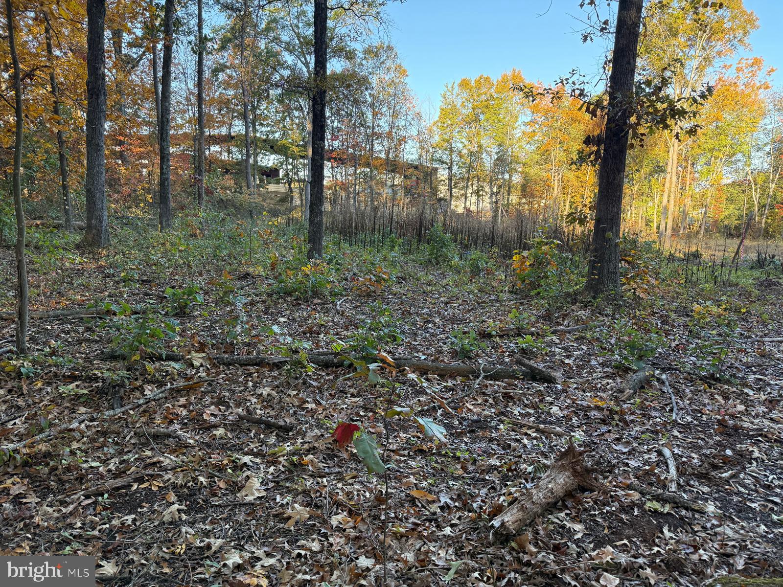 16120 Brandy Road Culpeper, VA 22701 - Photo 15 of 30