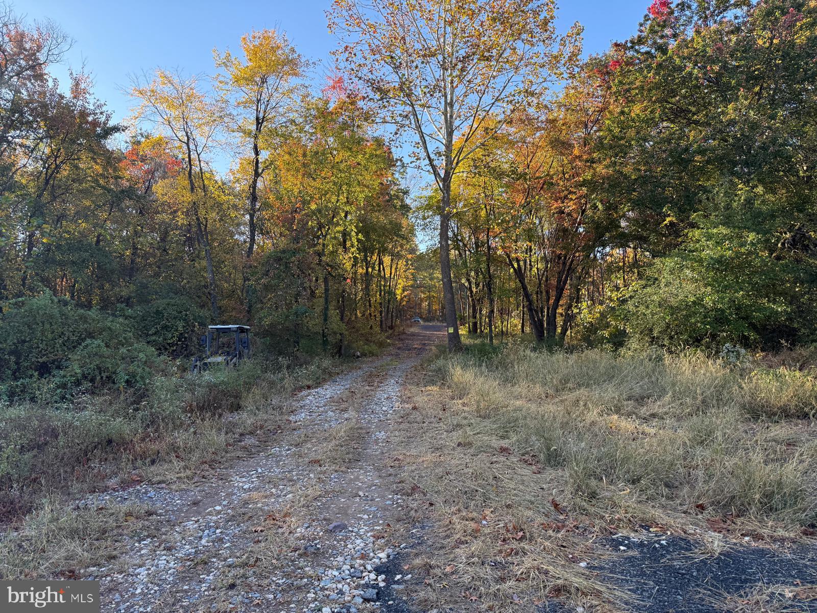 16120 Brandy Road Culpeper, VA 22701 - Photo 18 of 30