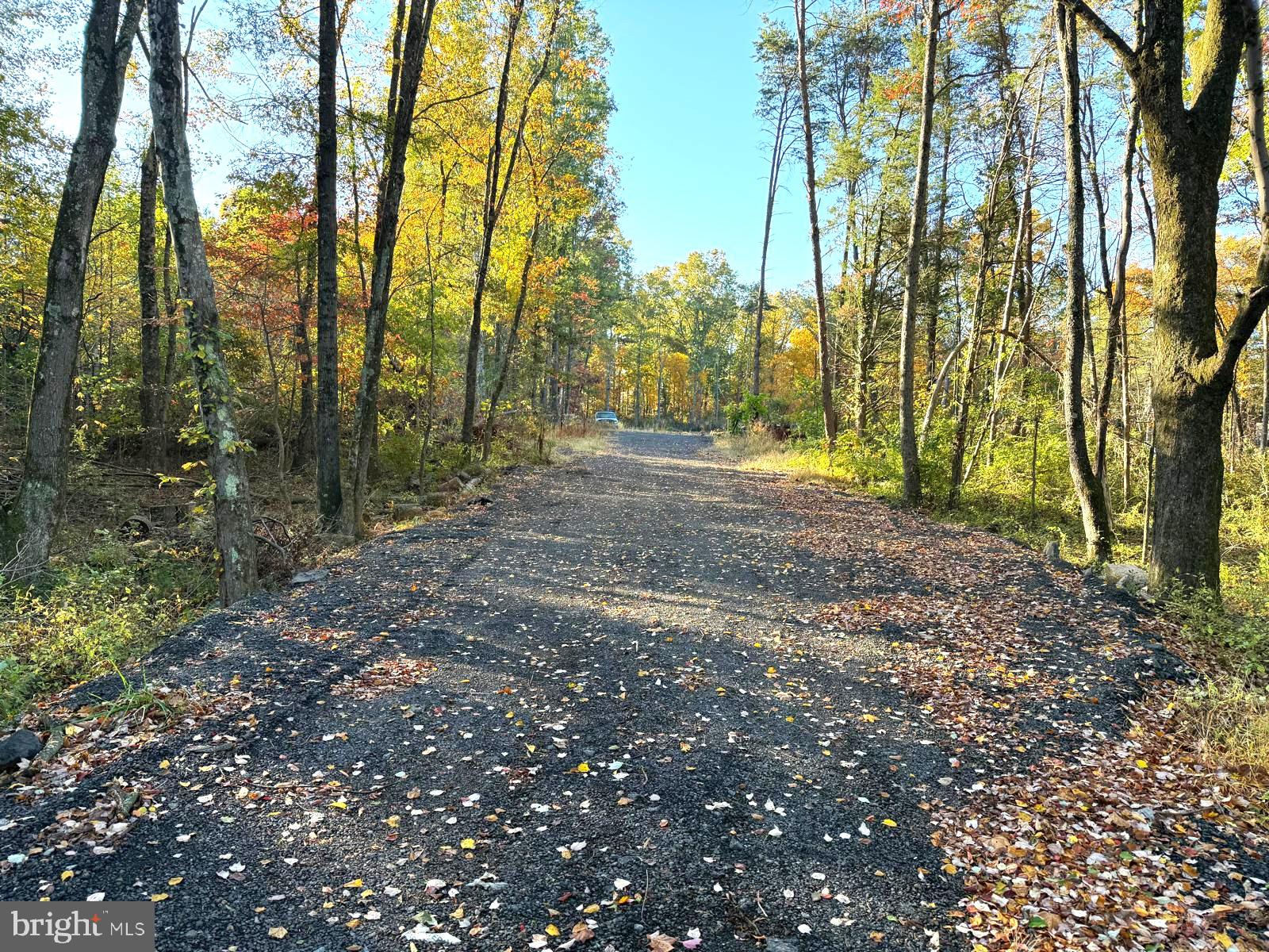 16120 Brandy Road Culpeper, VA 22701 - Photo 7 of 30
