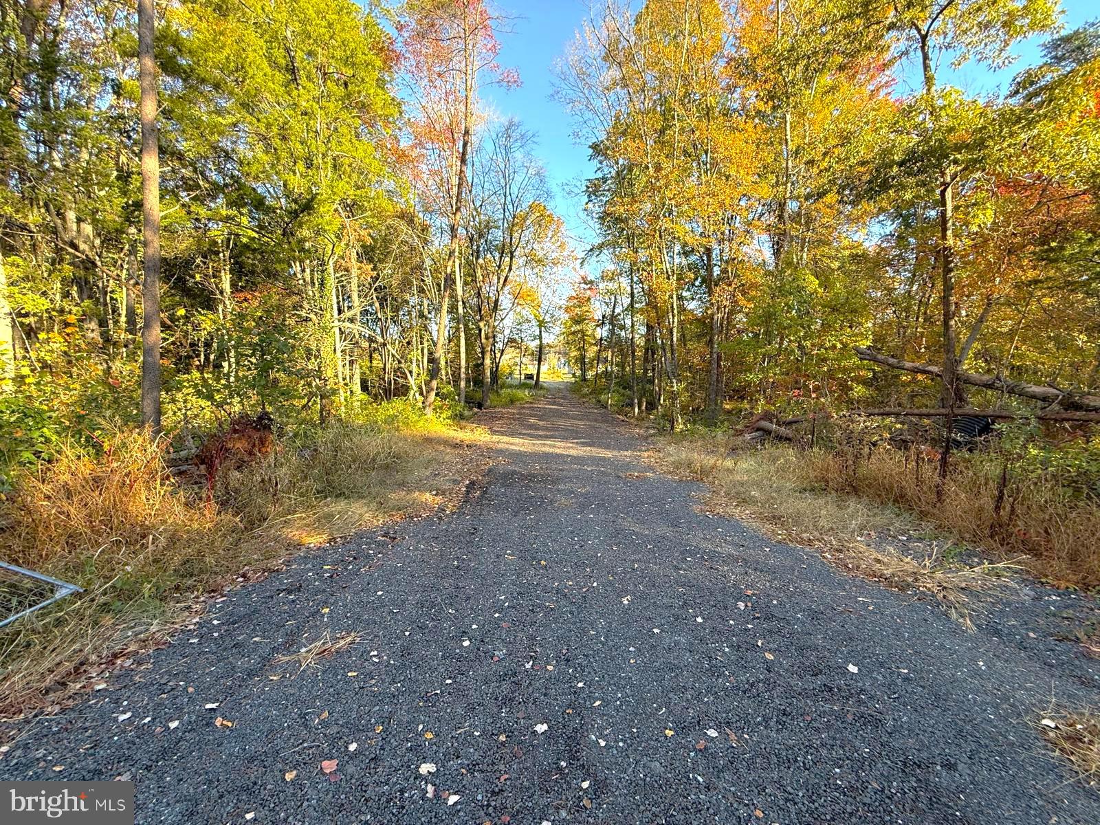 16120 Brandy Road Culpeper, VA 22701 - Photo 9 of 30