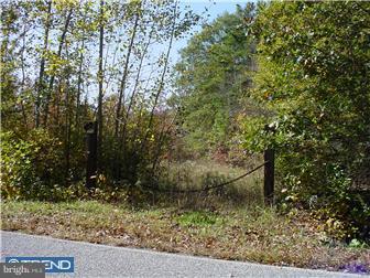 Lots Straughns Mill Road Pedricktown, NJ 08067 - Photo 2 of 2 Gallery Image 2