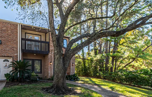 a view of a backyard with large tree