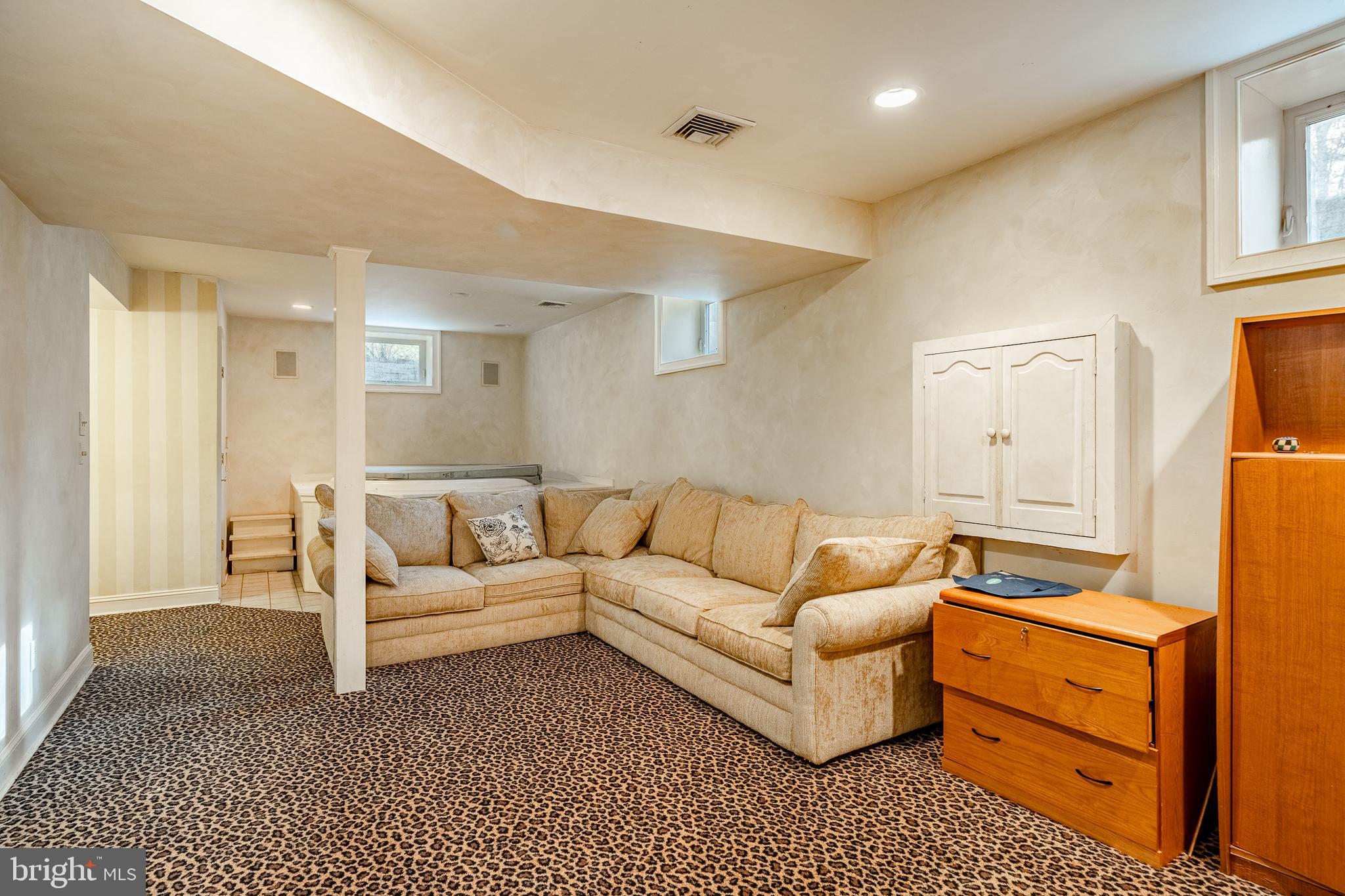 124 Center Mill Road Chadds Ford, PA 19317 - Photo 50 of 73 Lower Level Exercise and Entertainment Room