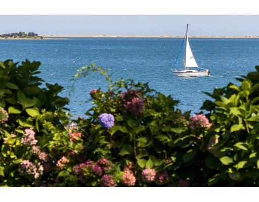 646 South Orleans Road Orleans, MA 02653 - Photo 42 of 42 a vase of flowers sitting in a yard