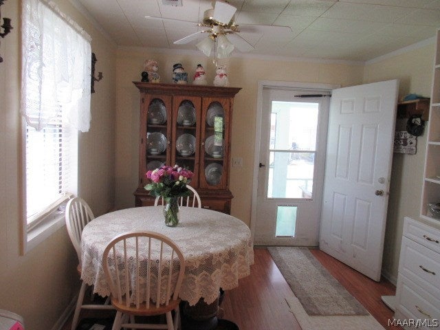 29511 Friendship Road Opp, AL 36467 - Photo 8 of 42 Gallery Image 8