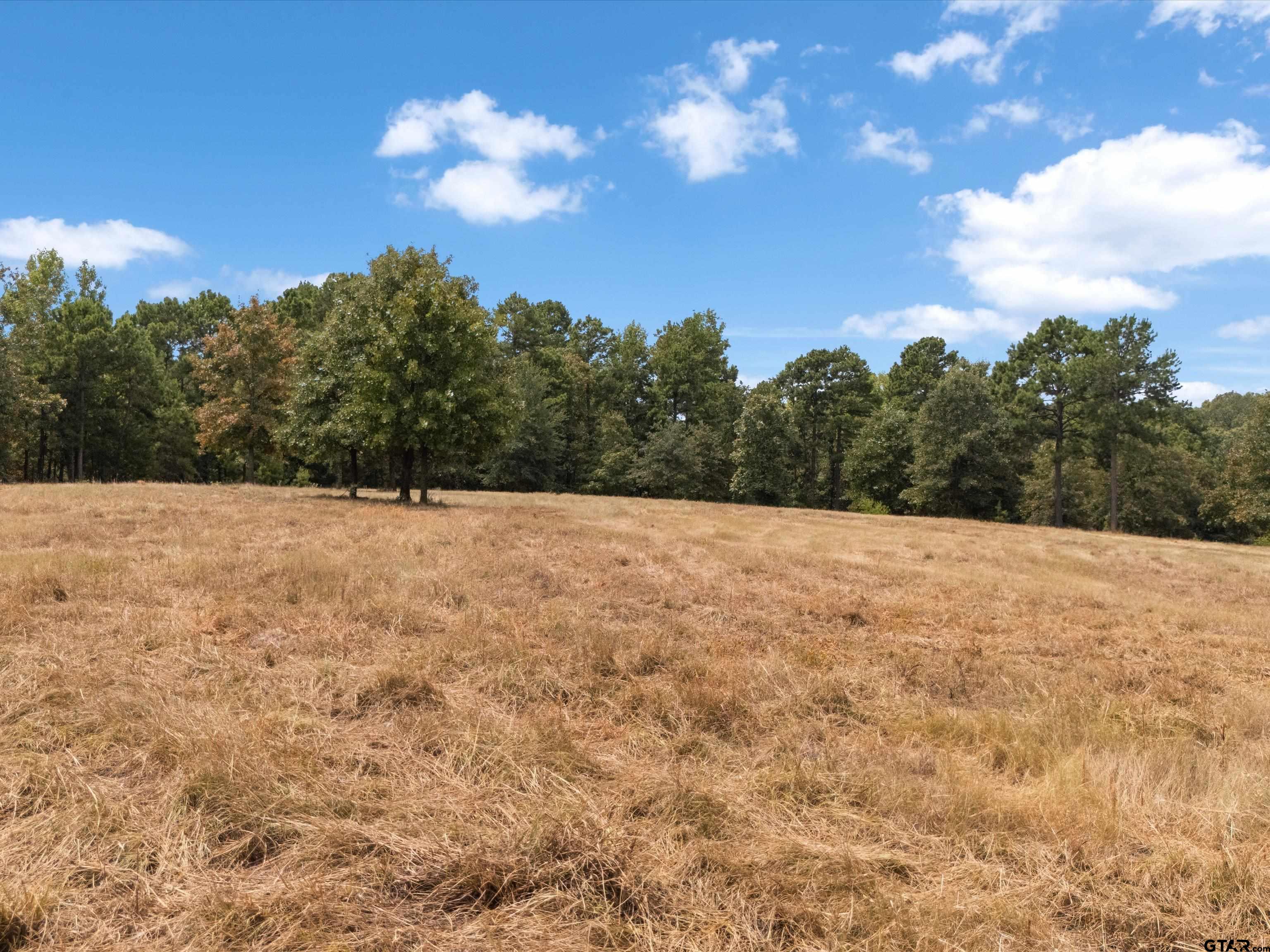Tbd Silk Tree Road Gilmer, TX 75645 - Photo 10 of 16 Gallery Image 10