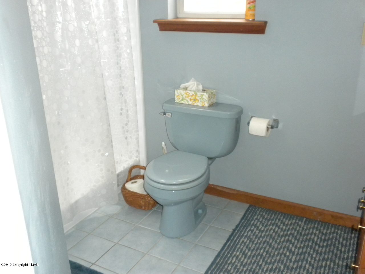 38 Hill Road Effort, PA 18330 - Photo 4 of 13 a bathroom with a toilet and a shower curtain