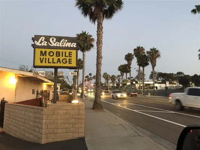 a view of a palm tree with an ocean view