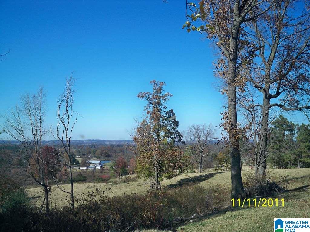 1511 Burgett Road Altoona, AL 35952 - Photo 30 of 38 Gallery Image 30
