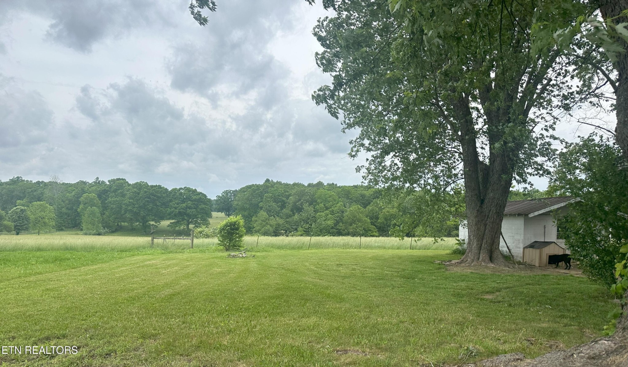240 Tate Road Crossville, TN 38571 - Photo 6 of 27 Gallery Image 6