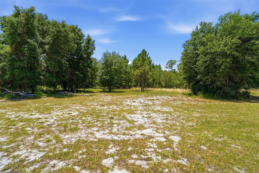 7242 Black Road Lake Wales, FL 33898 - Photo 37 of 38