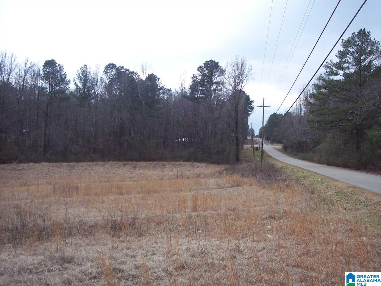 0 Big Oak Road Ohatchee, AL 36271 - Photo 4 of 7