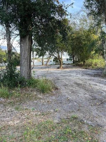 a view of a tree in the middle of a yard