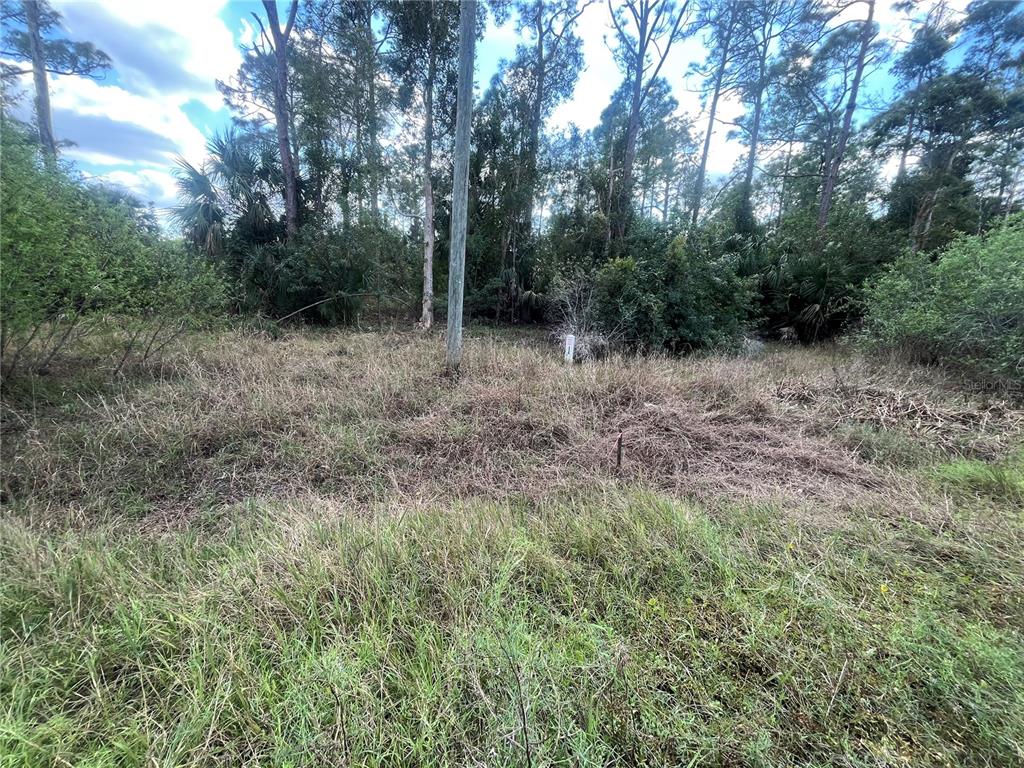 8551 Buckingham Road Fort Myers, FL 33905 - Photo 3 of 18 Gallery Image 3