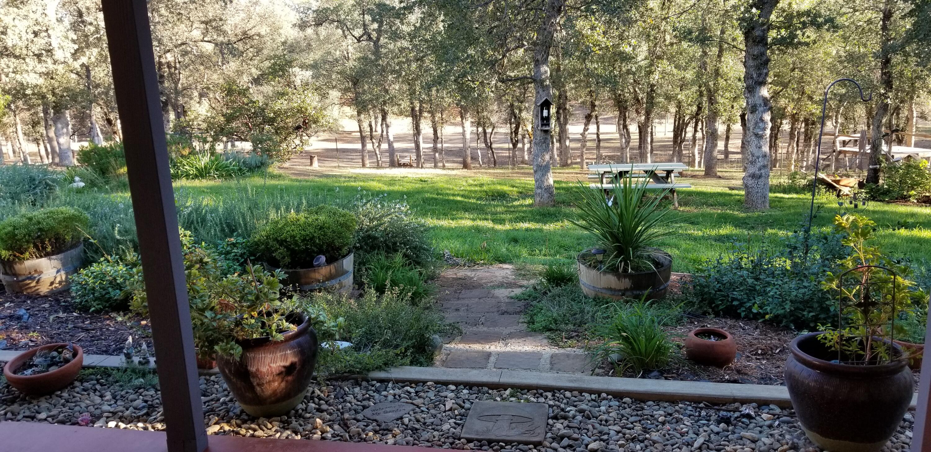 18900 Saddleback Ridge Road Cottonwood, CA 96022 - Photo 11 of 14 View from Porch