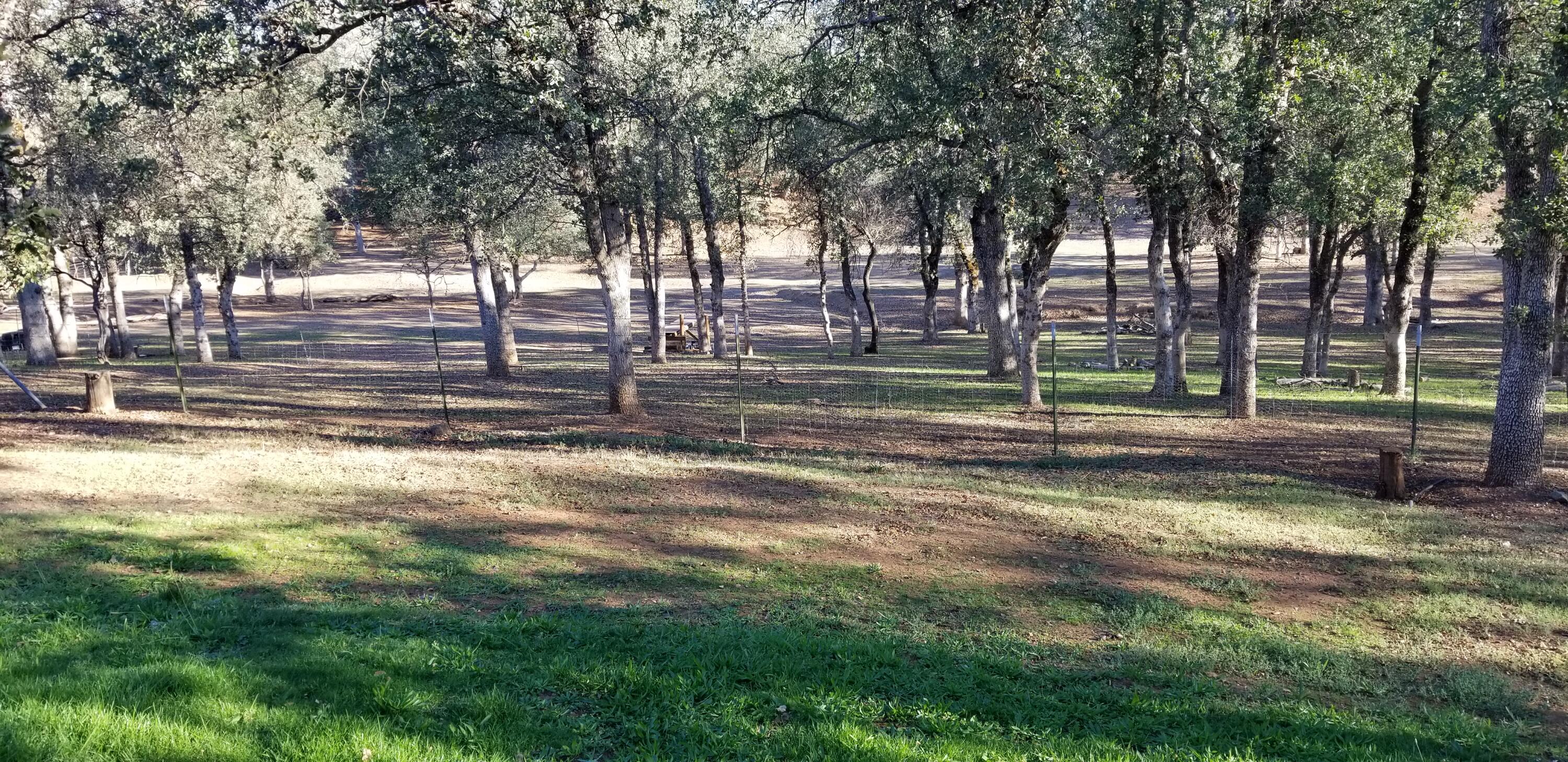 18900 Saddleback Ridge Road Cottonwood, CA 96022 - Photo 13 of 14 View of Pasture