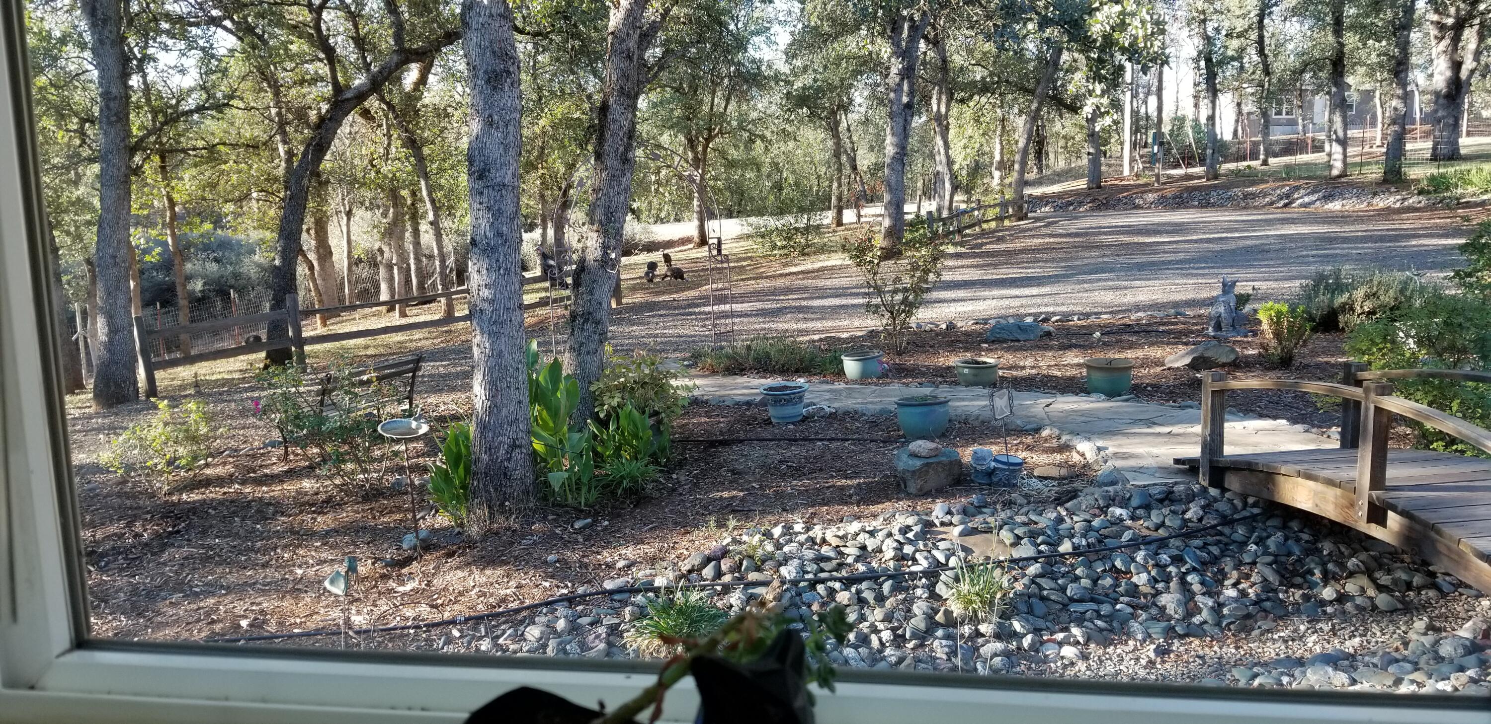 18900 Saddleback Ridge Road Cottonwood, CA 96022 - Photo 4 of 14 View from Kitchen