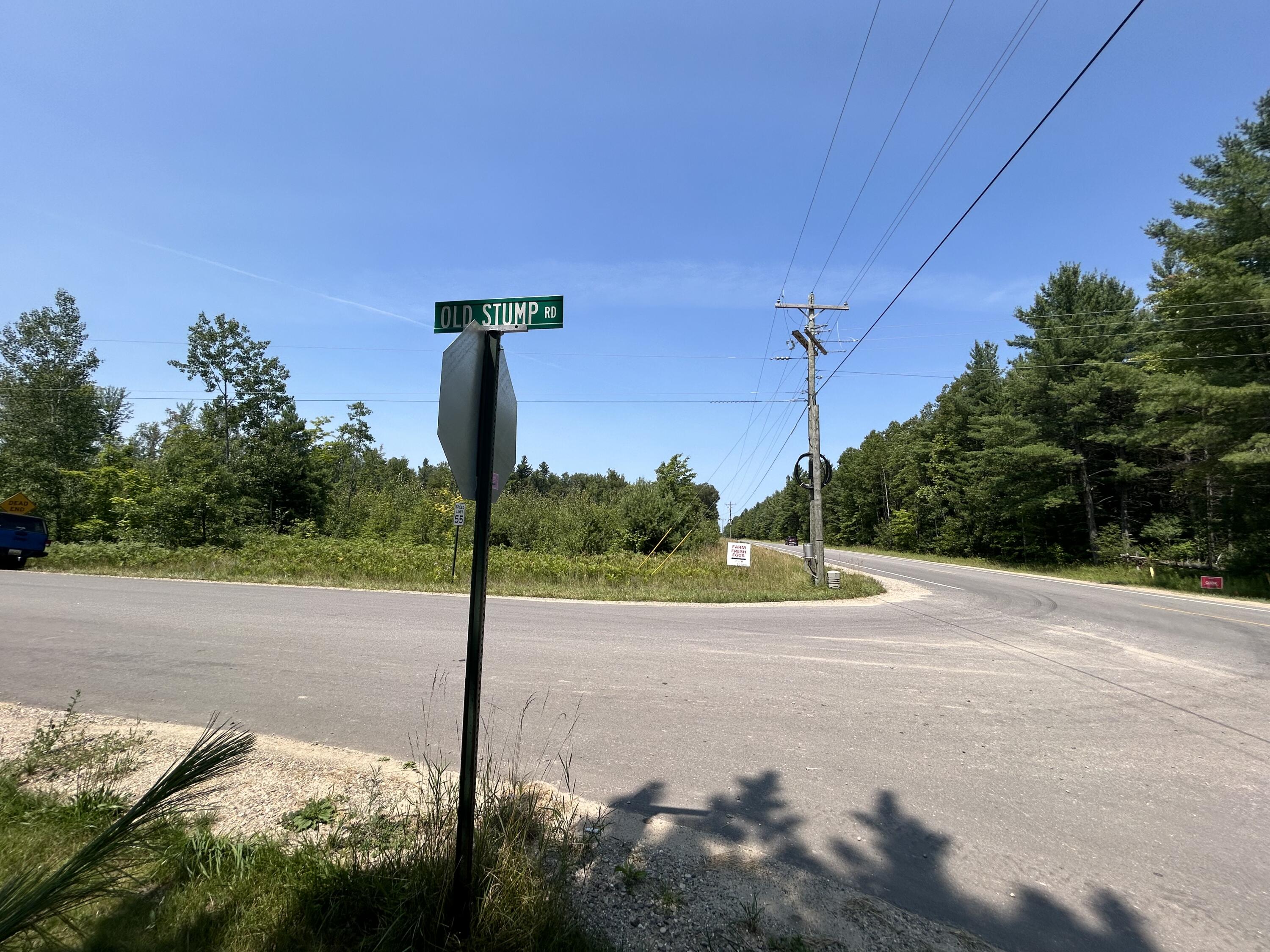 Hayes Tower Road Gaylord, MI 49735 - Photo 13 of 15 Gallery Image 13