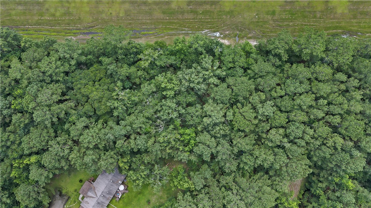 Lot 43 Freedom Trail Southwest Townsend, GA 31331 - Photo 1 of 6