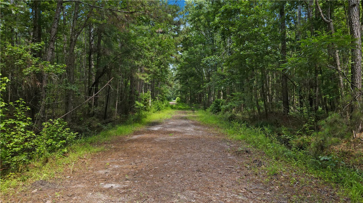 Lot 43 Freedom Trail Southwest Townsend, GA 31331 - Photo 4 of 6