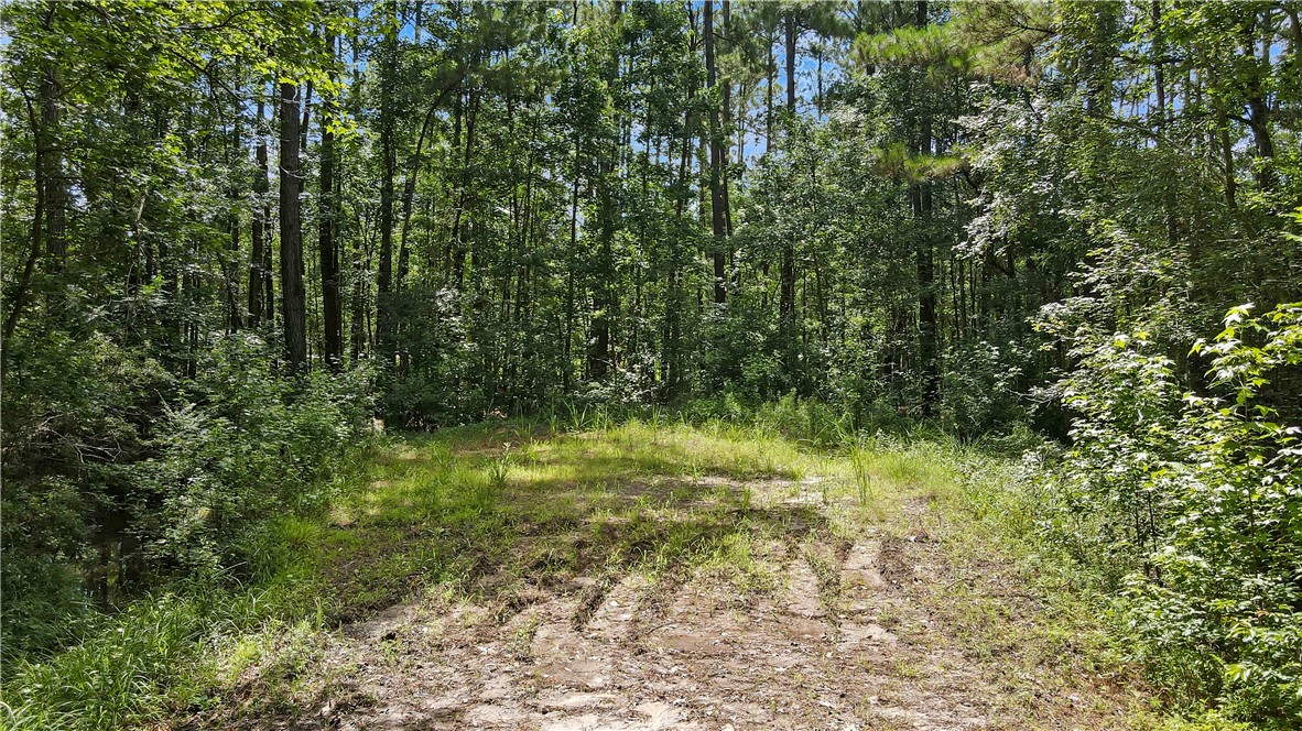 Lot 43 Freedom Trail Southwest Townsend, GA 31331 - Photo 5 of 6